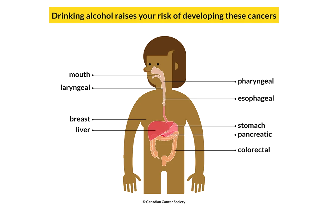 Mindful drinking and alcohol moderation guide with premium non-alcoholic alternatives