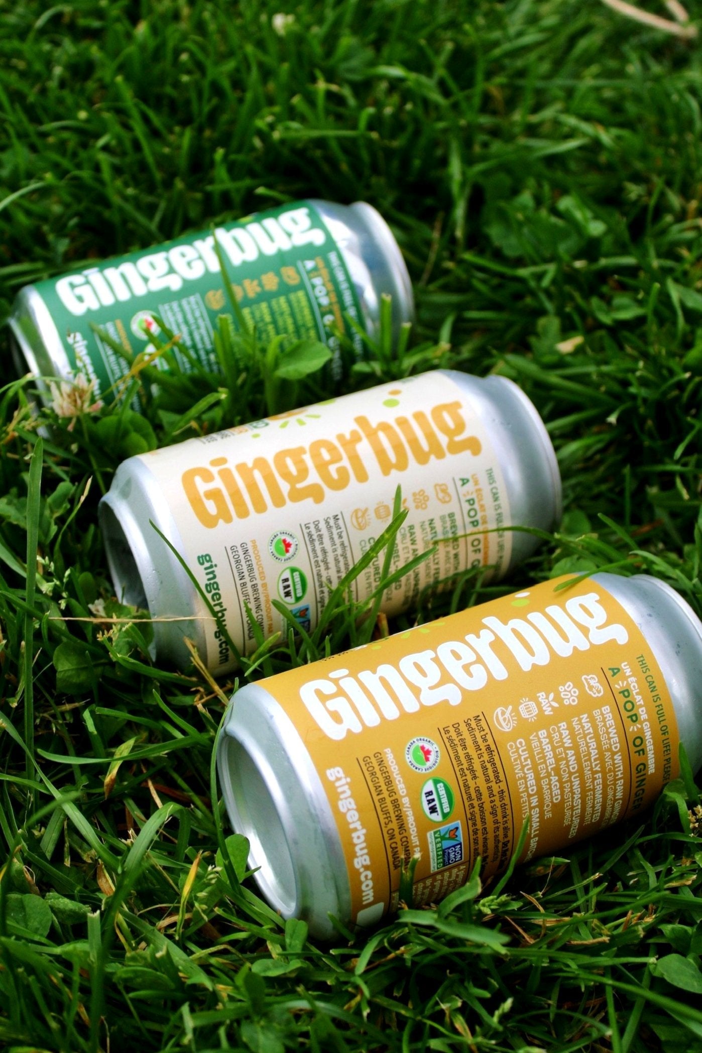 Vendor: Gingerbug