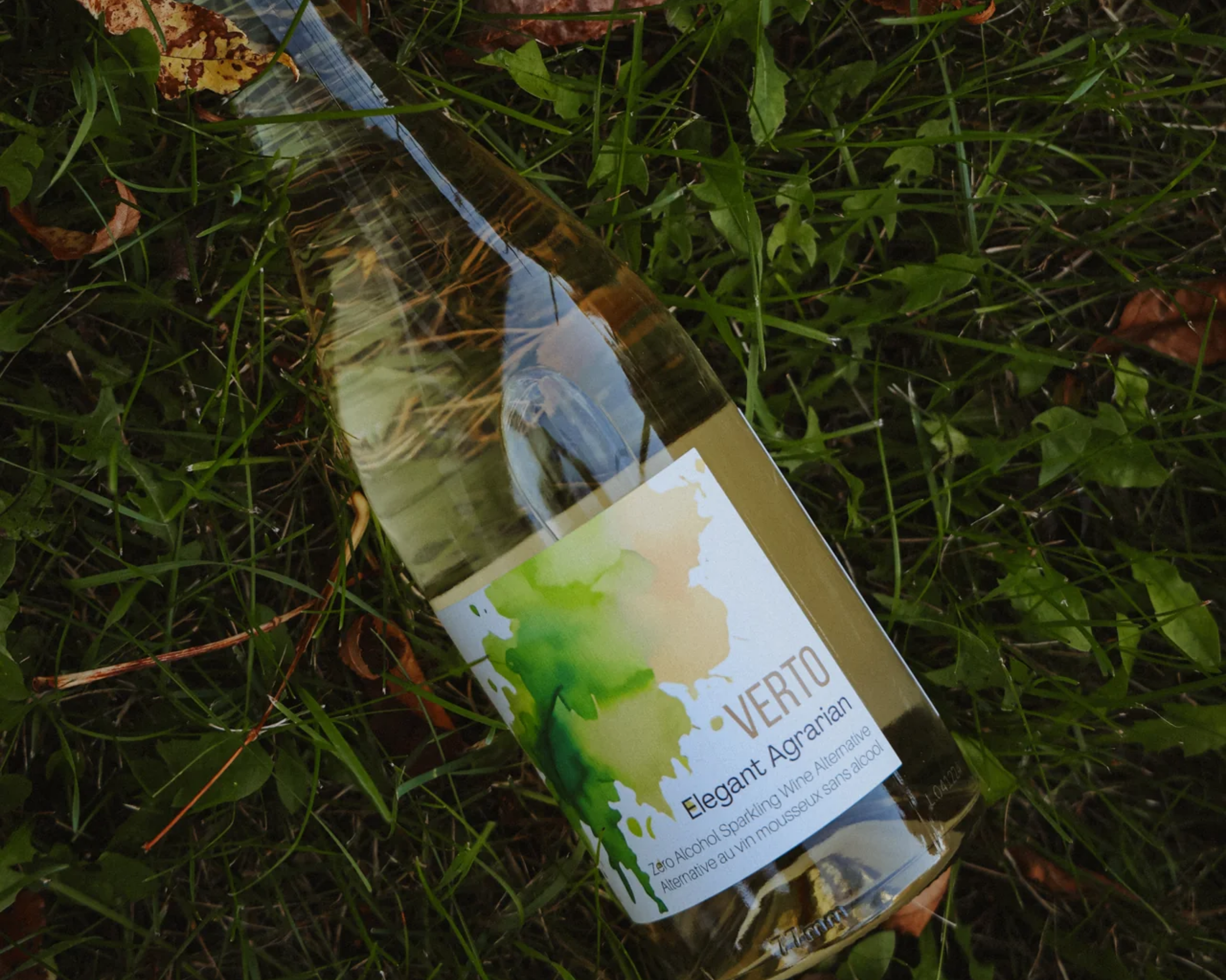 Wine Alternatives