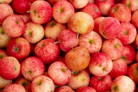 Organic Farm grown apples - pressed cider - adult beverages Canada