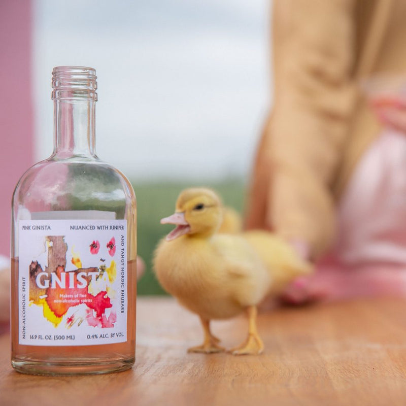 Gnista Spirits - Pink Ginista