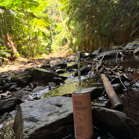 Highr - Negroni Fizz