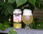 Blood Brothers - Paradise Lost: Variety 12 Pack