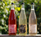 Benjamin Bridge - Piquette Zero Bottles Collection