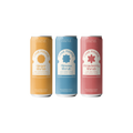 Casa Piñata - Shrub Discovery 12 Pack