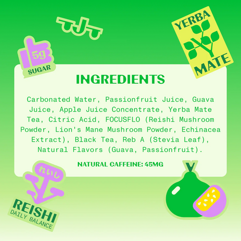 FLOJO - Discovery Variety 12 Pack