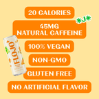 FLOJO - Discovery Variety 12 Pack