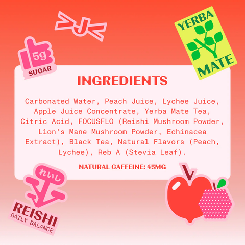 FLOJO - Discovery Variety 12 Pack