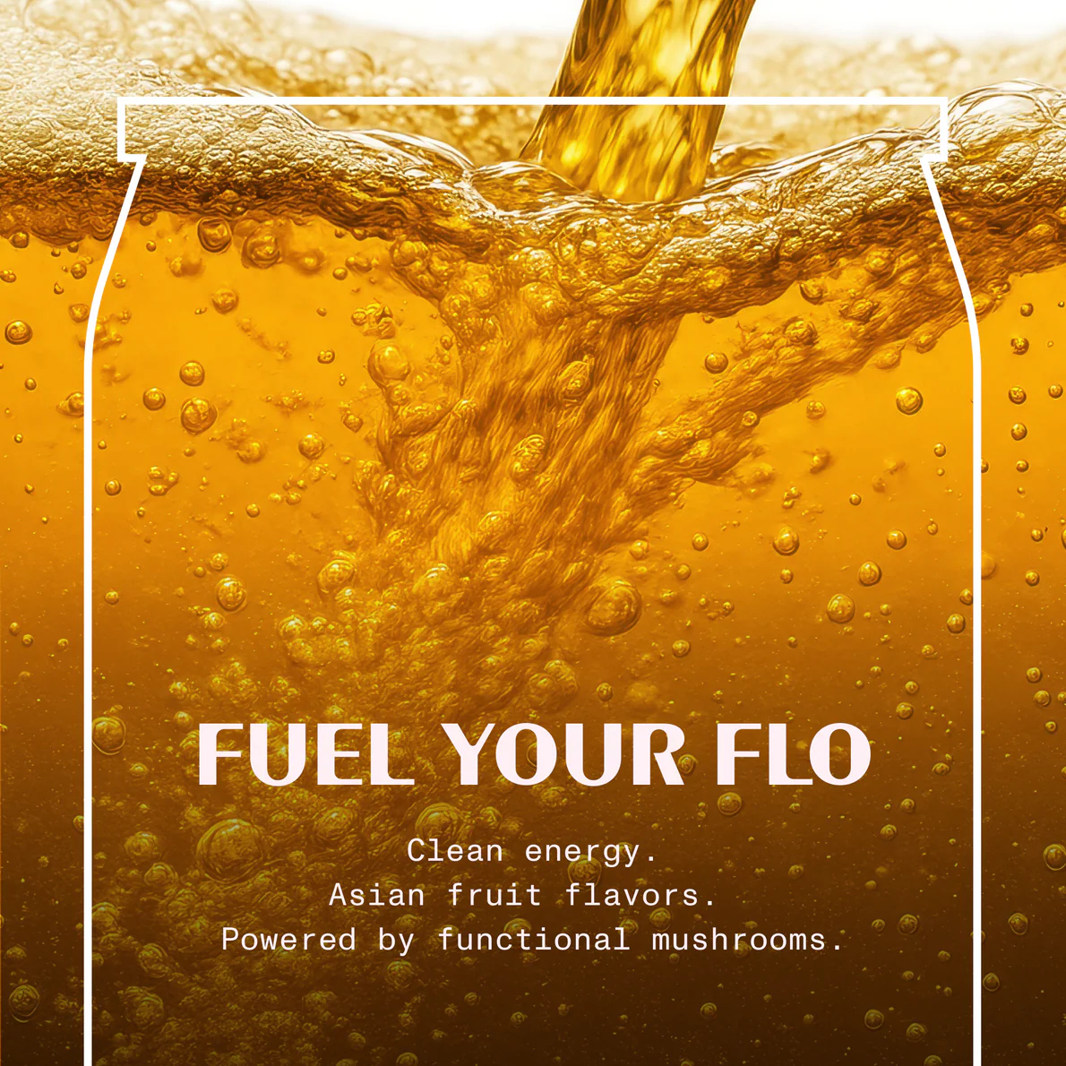 FLOJO - Discovery Variety 12 Pack