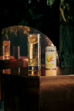 Fin Soda - Ginger Mule