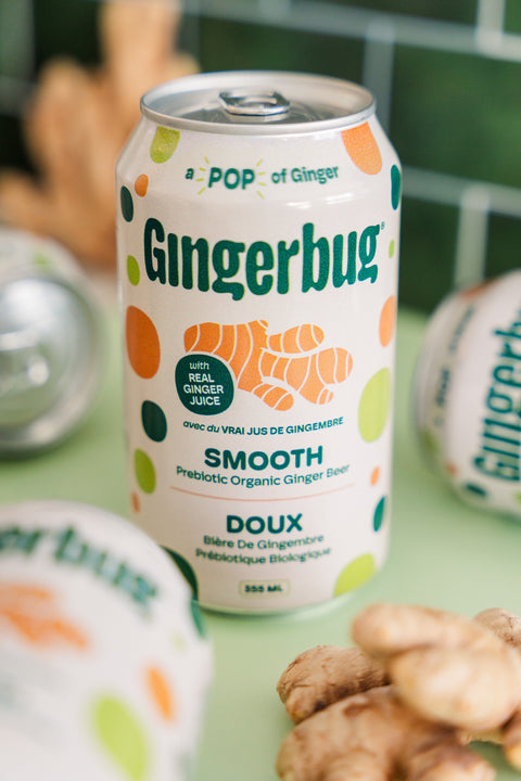 Gingerbug - Variety 12 Pack