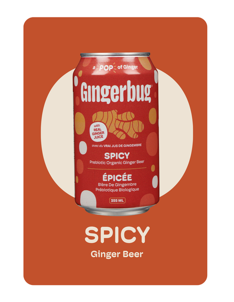 Gingerbug - Spicy