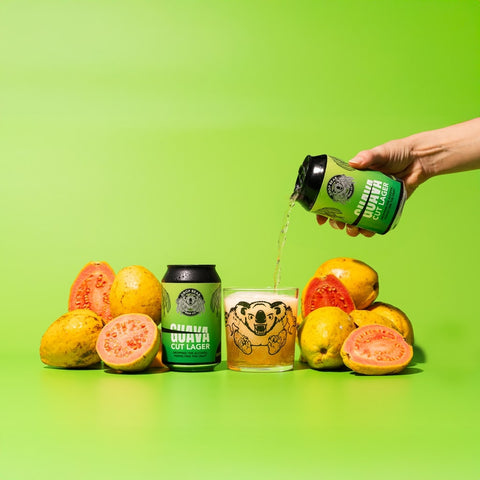 Drop Bear - Guava Cut Lager