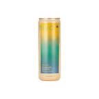 Hiyo - Pineapple Coconut Seltzer