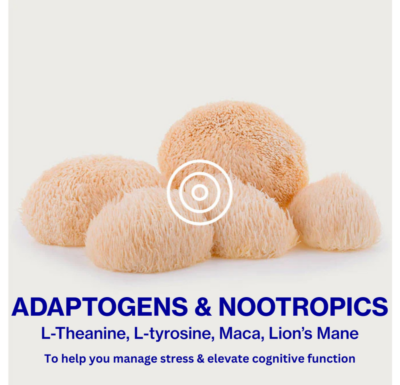 In Good Company - 21 Coastline