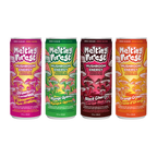 Melting Forest Energy - Variety 12 Pack