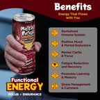 Melting Forest Energy - Black Cherry