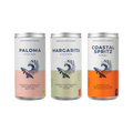 Pentire - The Mixed 12 Pack