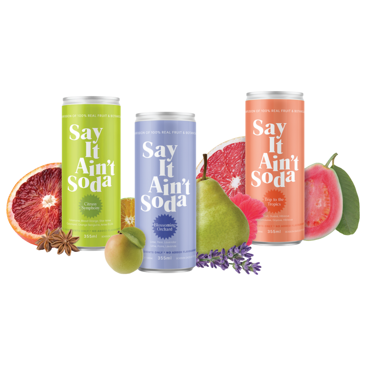 Say it Ain't Soda - Variety 12 Pack