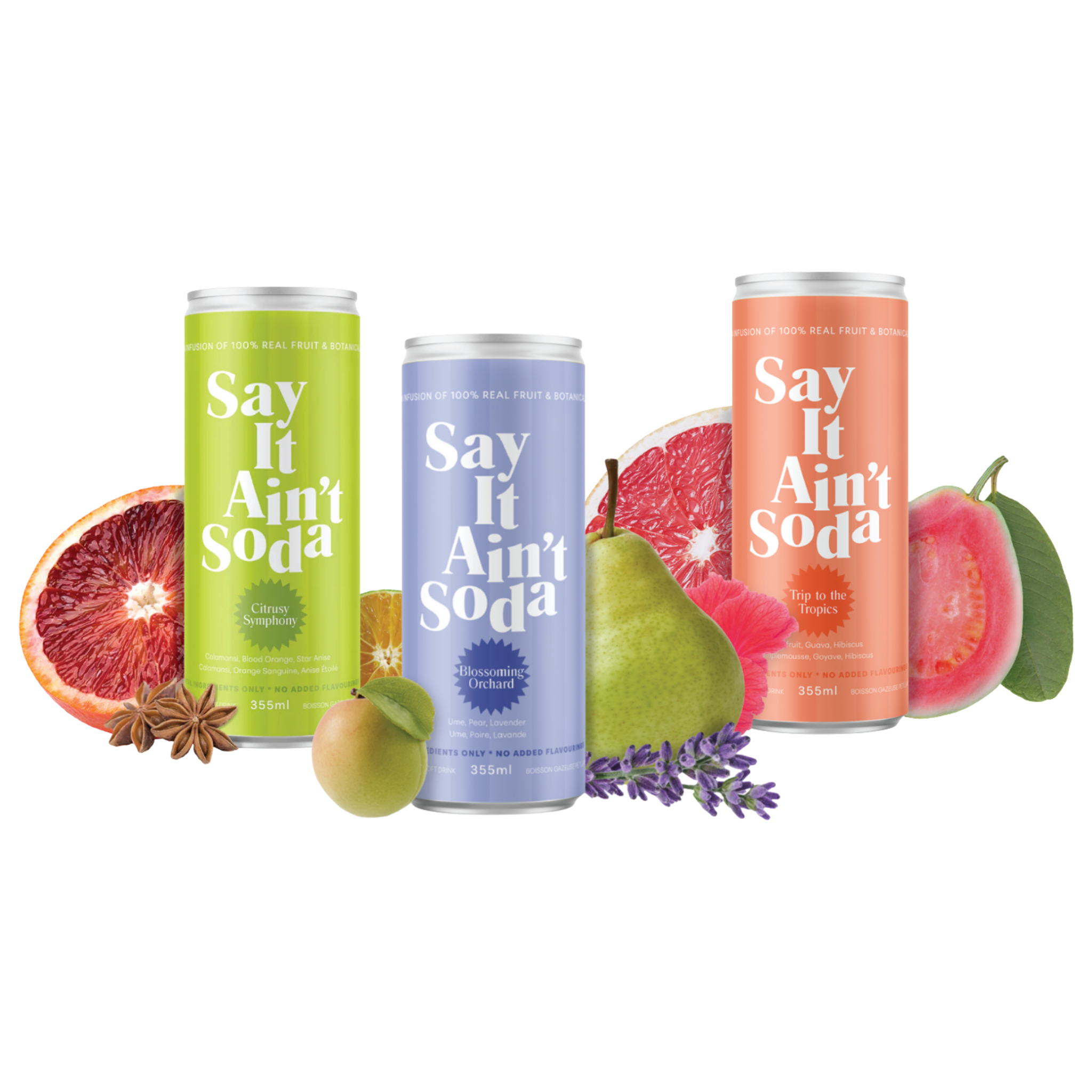 Say it Ain't Soda - Variety 12 Pack