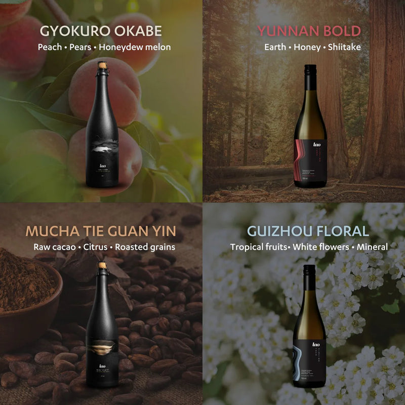 Lao - Discovery Collection