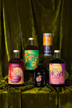 NOA x Dragons’ Den - Dragon Kit