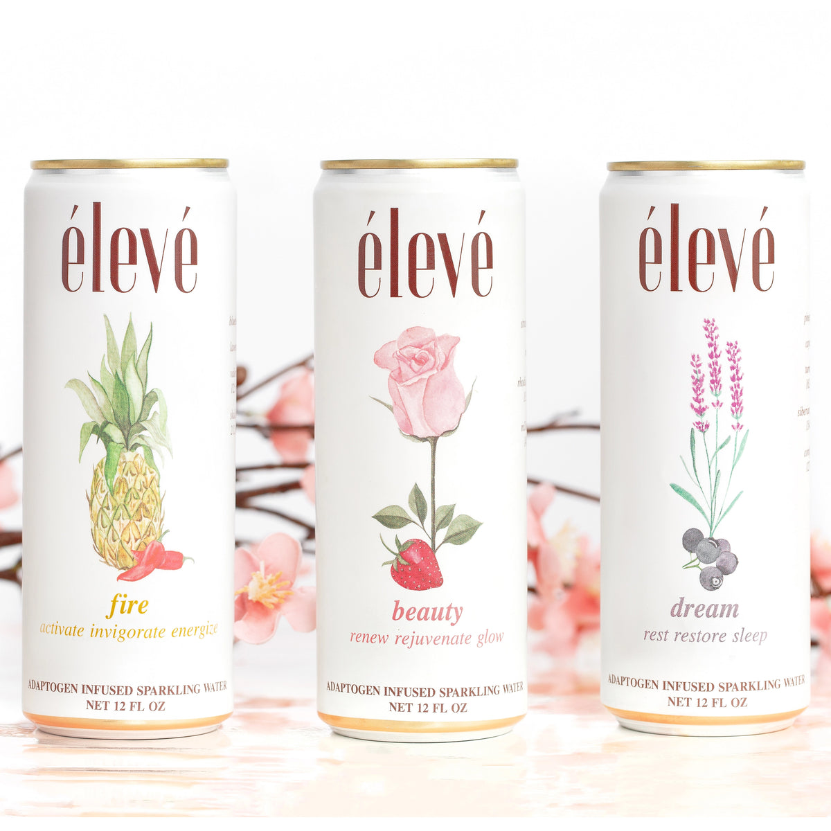 eleve variety pack adaptogen infused sparkling water, functional beverage for better health and improved wellness available at The Sobr Market in Winnipeg Canada with Free shipping and delivery
