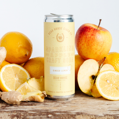 Alcohol free craft cider - apple, lemon, ginger - delicious drinks - adult beverage without alcohol Canada