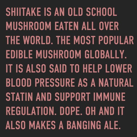 Shitake Mushroom - most popular edible mushroom in the world - lower blood pressure, support immune regulation