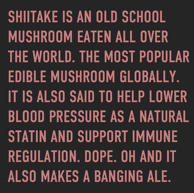 Shitake Mushroom - most popular edible mushroom in the world - lower blood pressure, support immune regulation